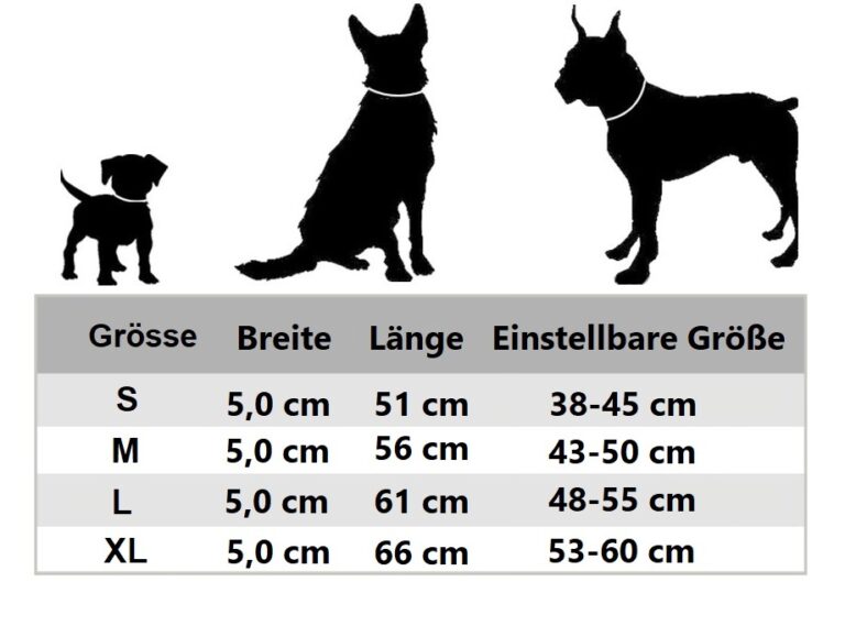 Halsband mit Nieten inkl. Leine