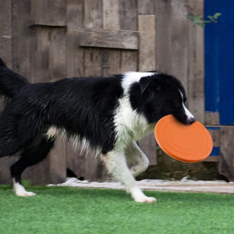 Hundefrisbee