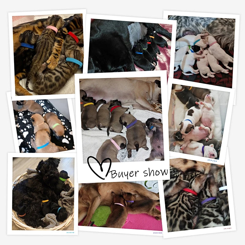 12 Welpenhalsbänder für Neugeborene