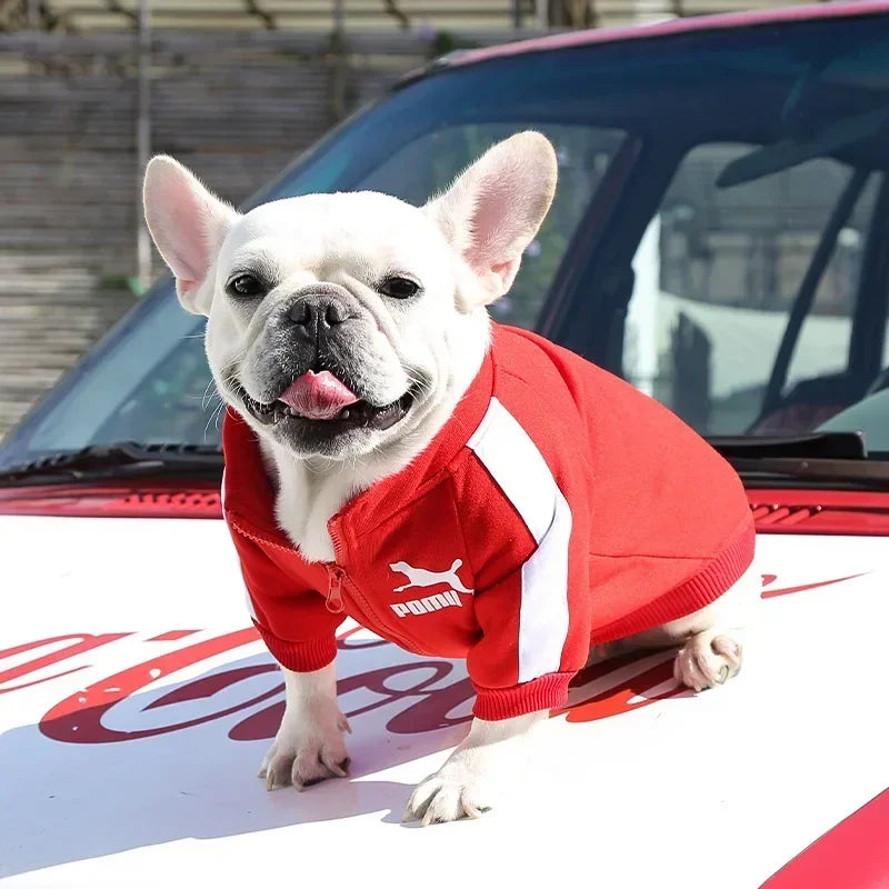 Baseball Hundejacke