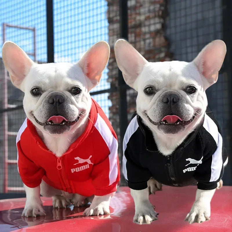 Baseball Hundejacke