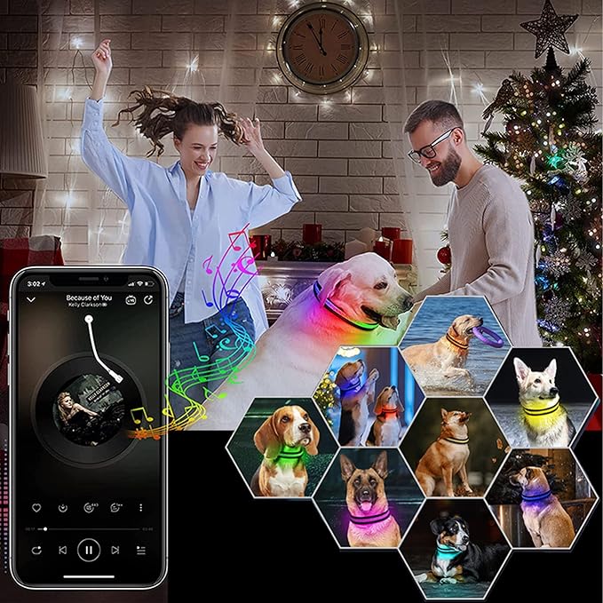 Hundehalsband LED, Handy App Steuerung