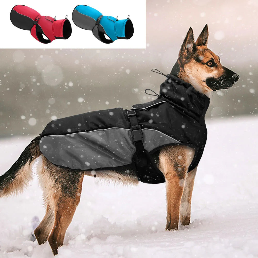 Wasserdichte Hundejagge